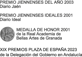 Premio Jiennense 2003 Diario Jaén, Premio Jiennenses Ideales 2001, Medalla de Honor 2001, XIX Premios Plaza de España 2023